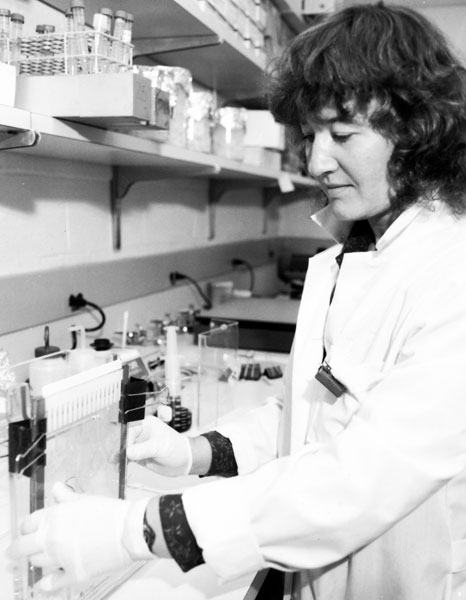 Page Laboratory8